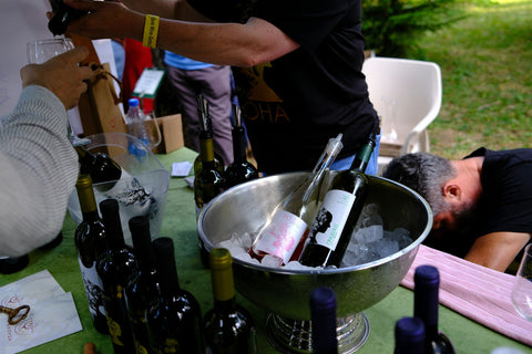 Weißweingläser und Flaschenkühler auf sonnigem Tisch – die richtige Trinktemperatur für Wein